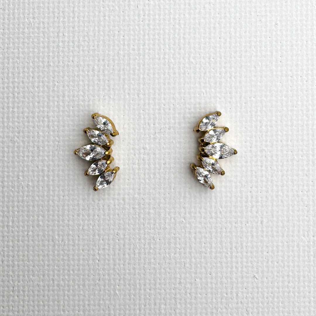 Orecchini Zirconia Crown